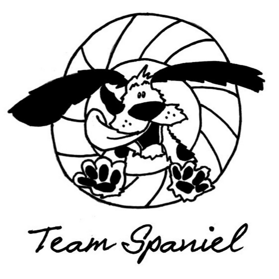 Team Spaniel رمز قناة اليوتيوب