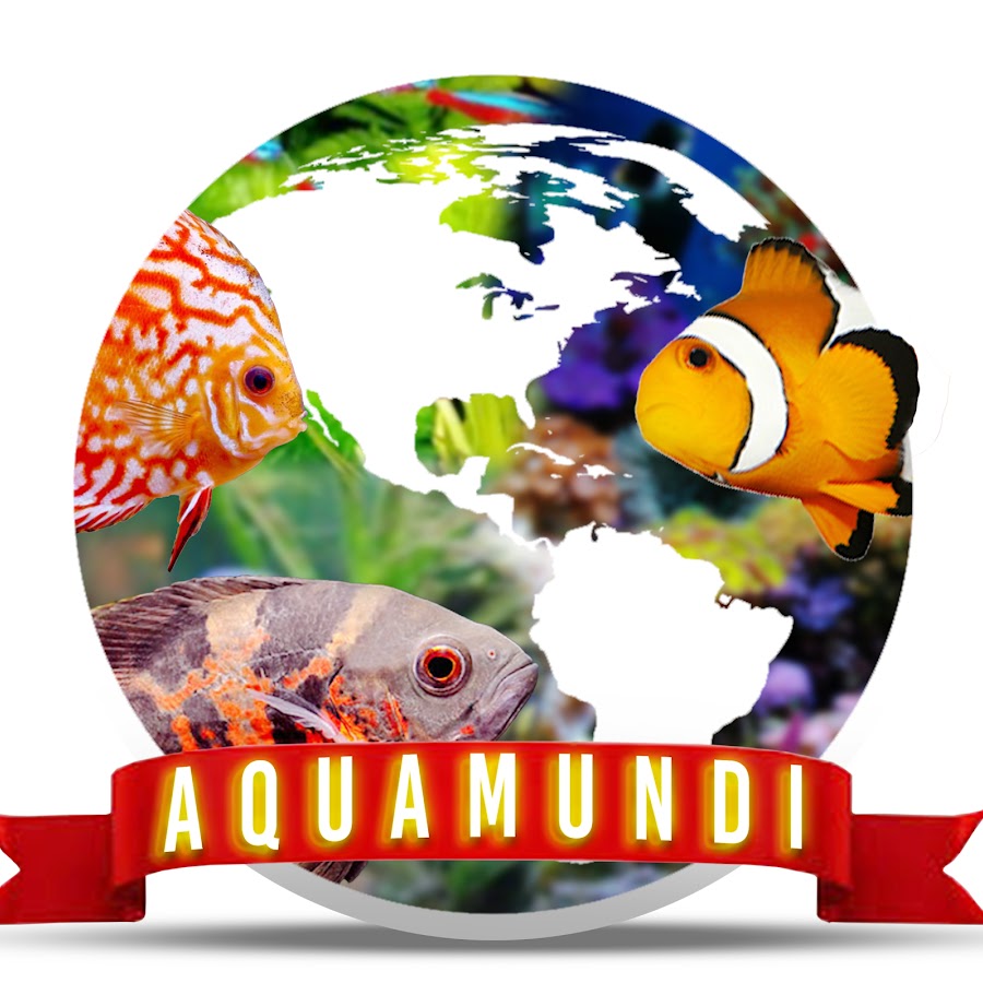 AquaMundi