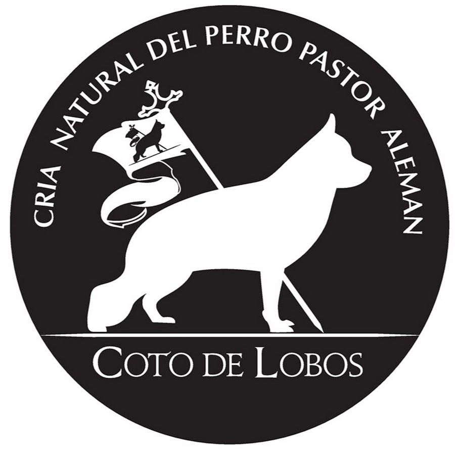 Coto de Lobos YouTube kanalı avatarı