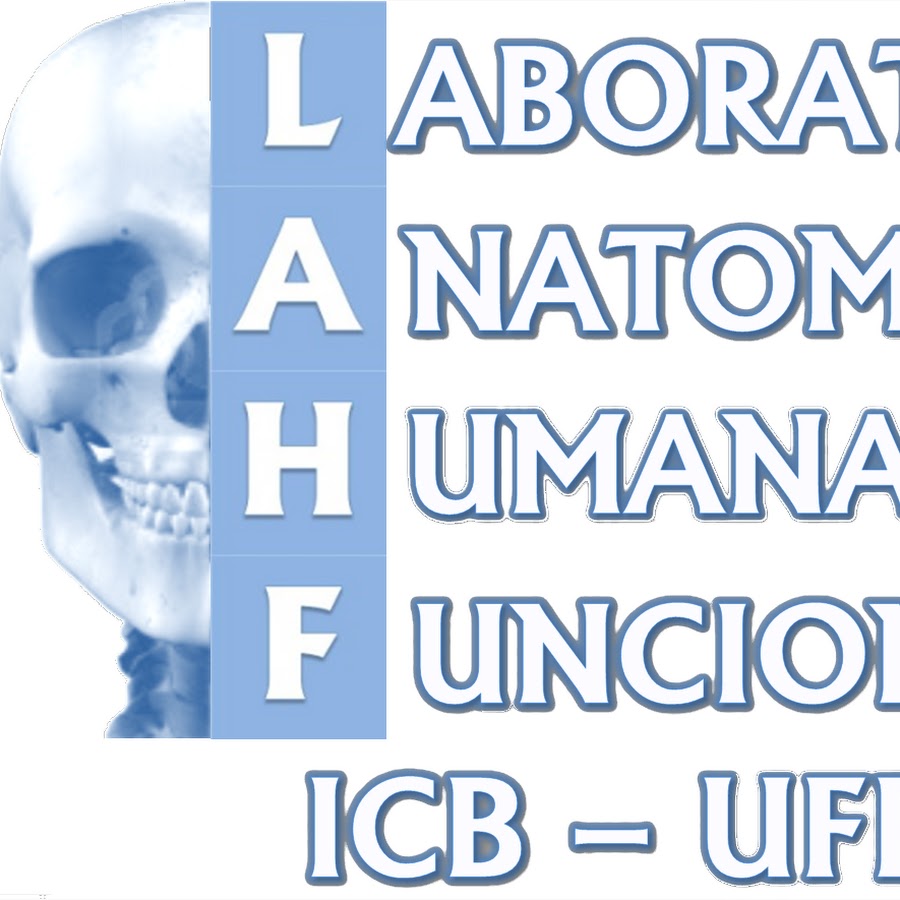 LaboratÃ³rio de Anatomia ICB - UFPA رمز قناة اليوتيوب