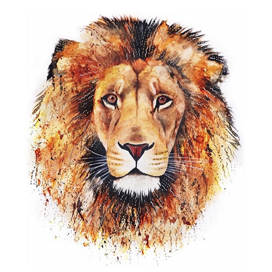 LionSnipez YouTube channel avatar