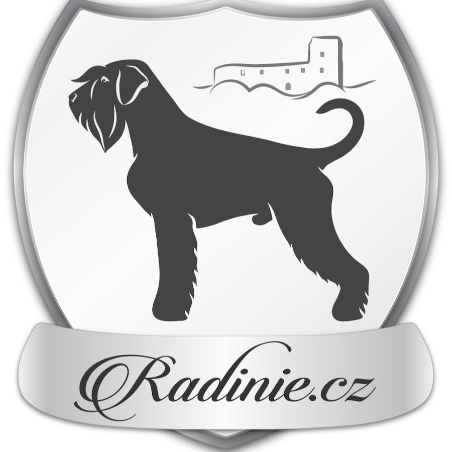 radinie YouTube channel avatar