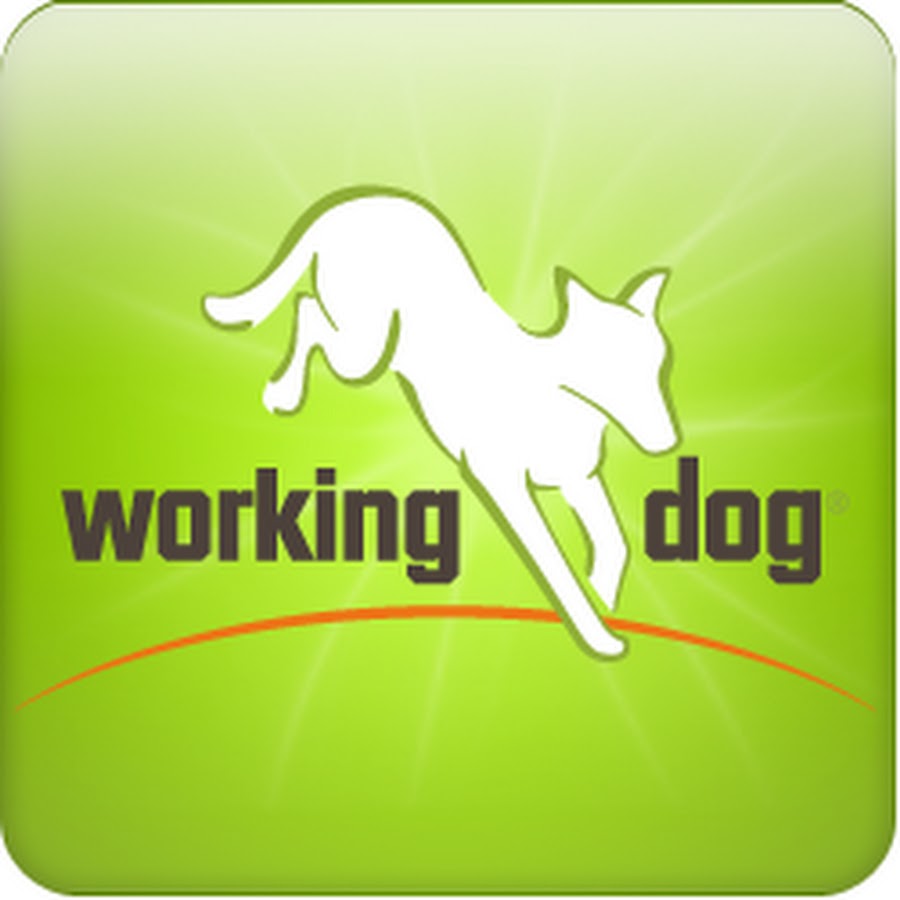 working-dog Avatar del canal de YouTube