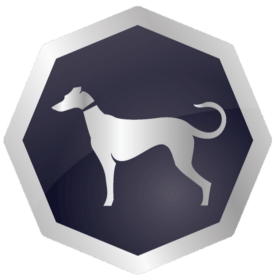 Sighthound, Inc. YouTube-Kanal-Avatar