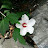 I love Korea mariella