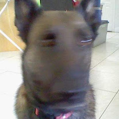 Thumbnail of related channel