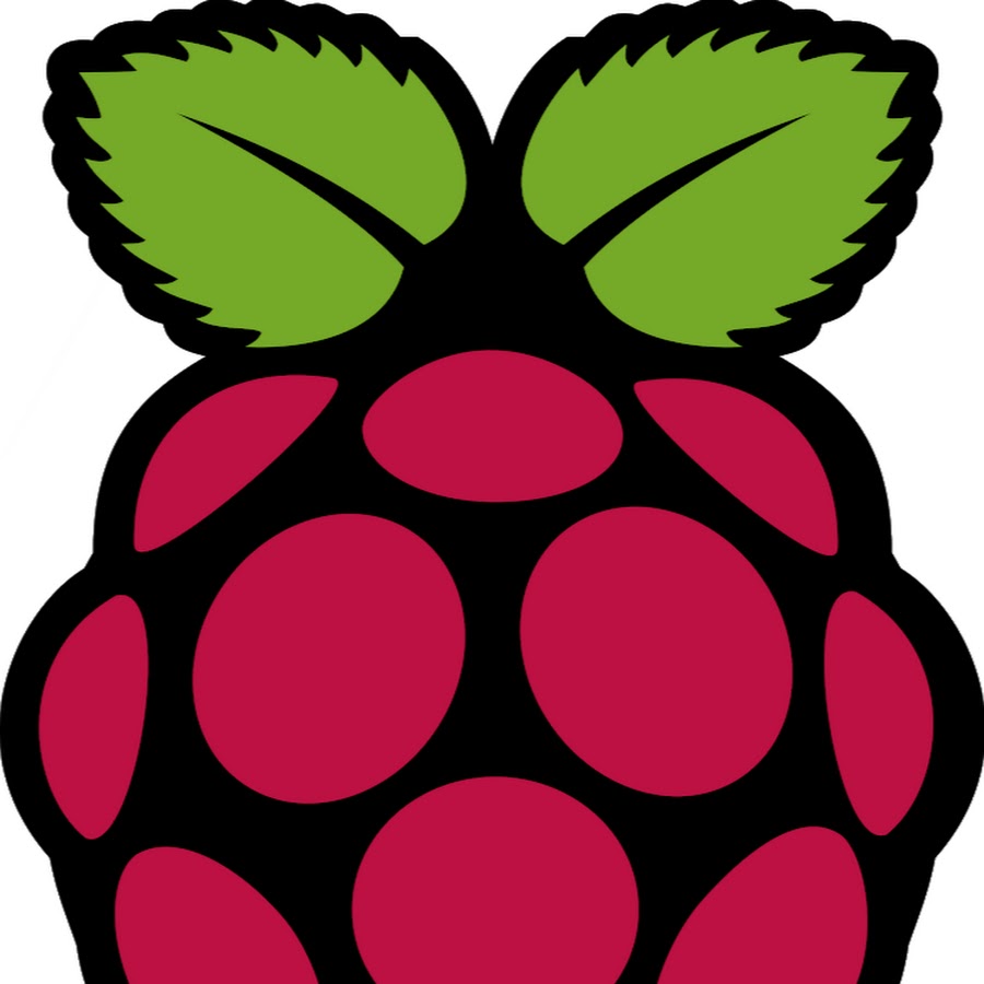 The Raspberry Pi GUY YouTube channel avatar