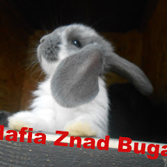 Mafia Znad Buga