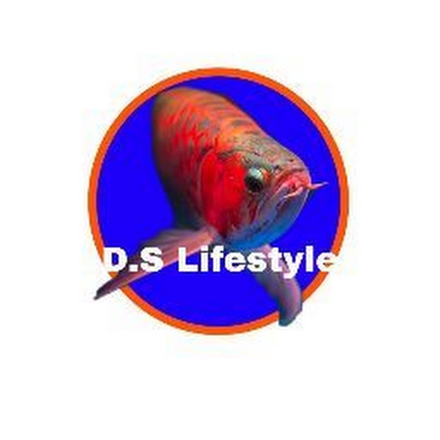 D.S Lifestyle YouTube channel avatar