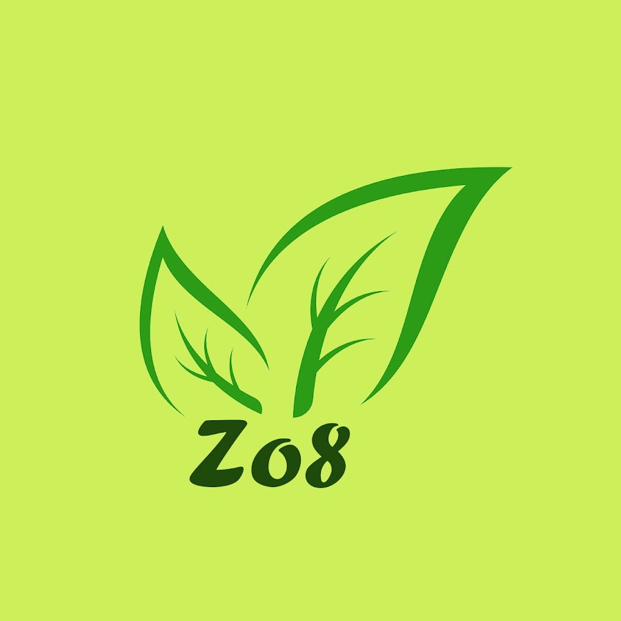 Zo8 ইউটিউব চ্যানেল অ্যাভাটার