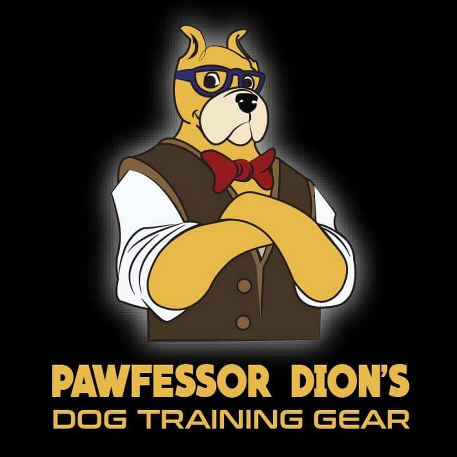 Pawfessor Dion رمز قناة اليوتيوب