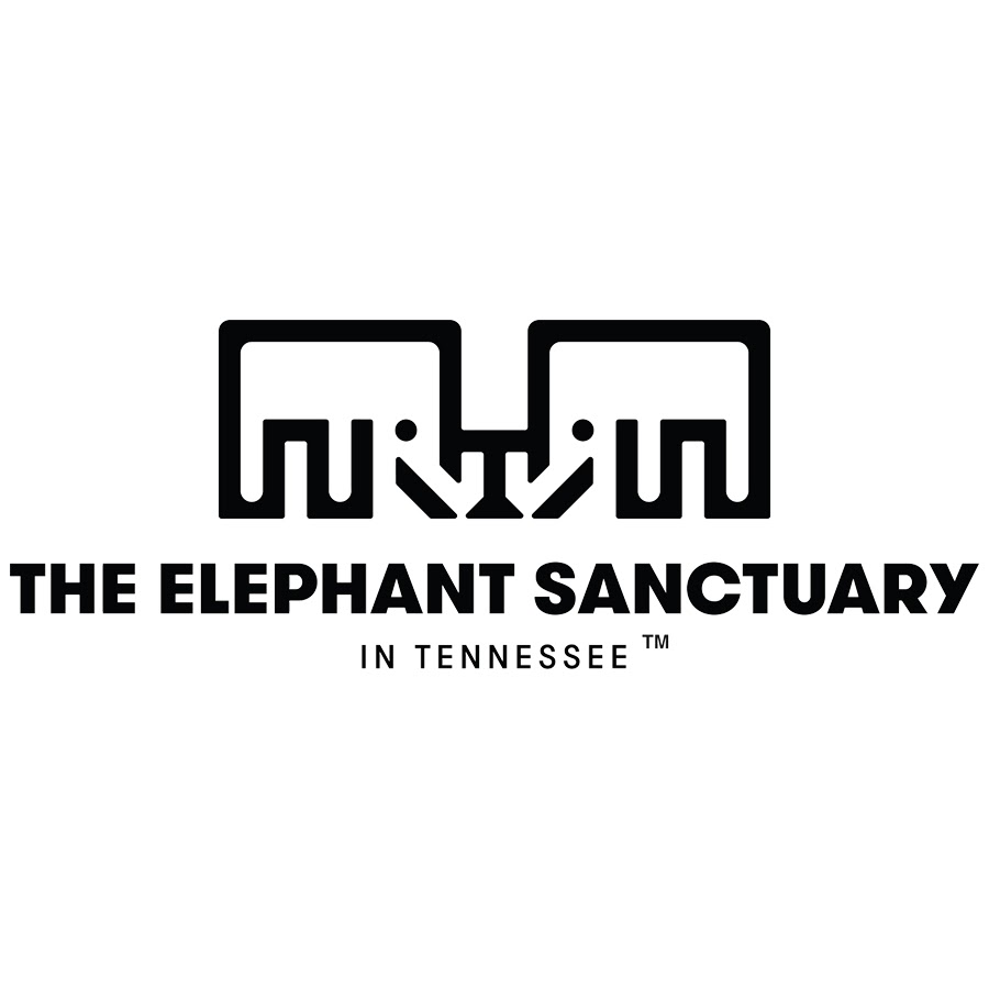 elephantsanctuarytn Avatar del canal de YouTube