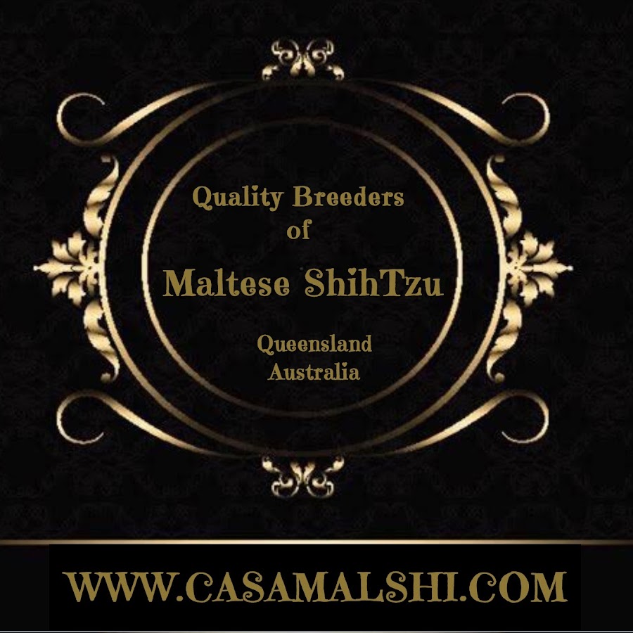 Casa Malshi YouTube channel avatar