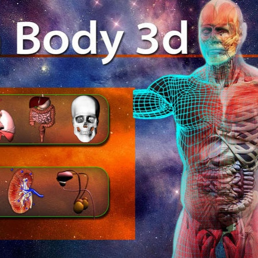 New Anatomy and Physiology Video Logo