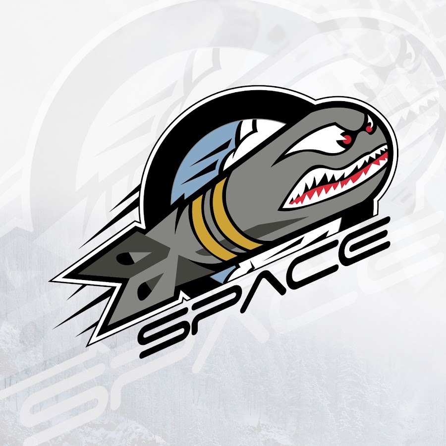 Space Beatz YouTube channel avatar