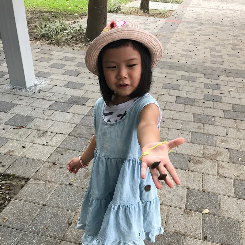 wow shoppingqueen - 網紅的藏寶箱 