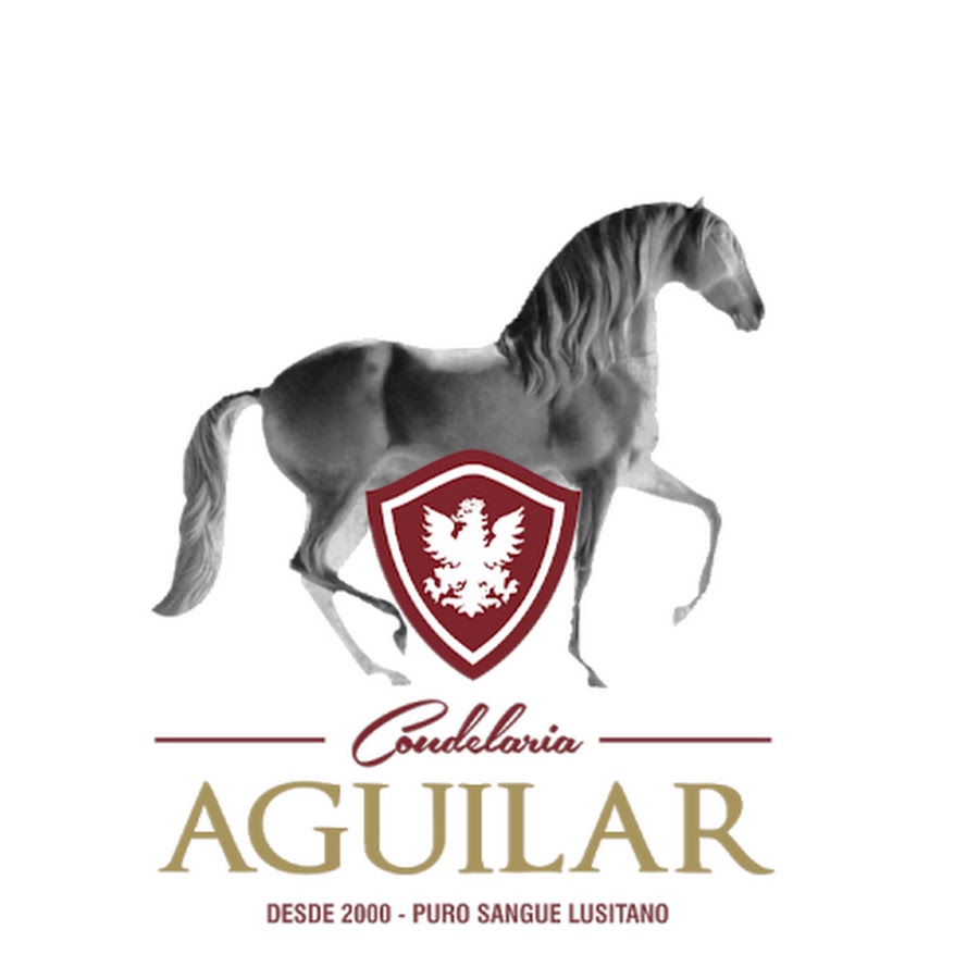 Cavalos Lusitanos Coudelaria Aguilar Avatar del canal de YouTube