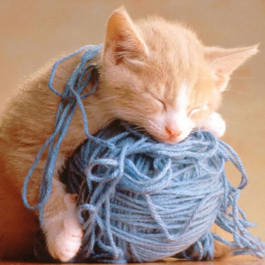 Knitting Lessons رمز قناة اليوتيوب
