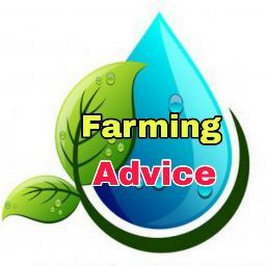 Agriculture Technical Guru YouTube channel avatar