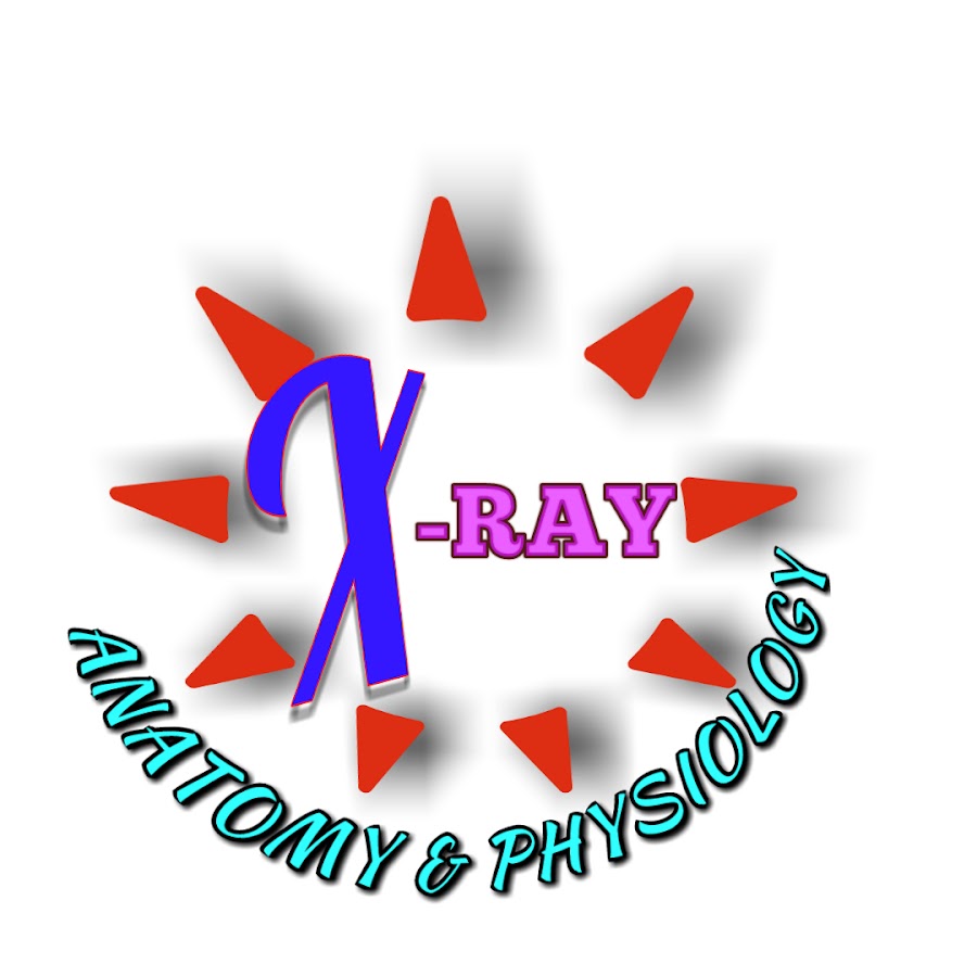 X- RAY CLASSES YouTube channel avatar
