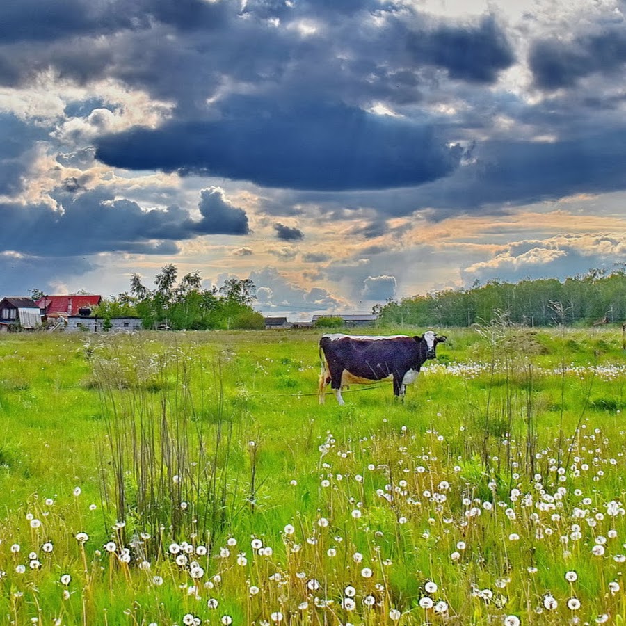 День деревни Саурово 2021, Павловский Посад - дата и место проведения, программа