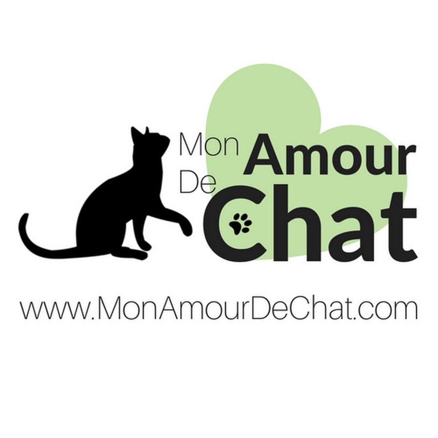 Mon Amour de Chat رمز قناة اليوتيوب