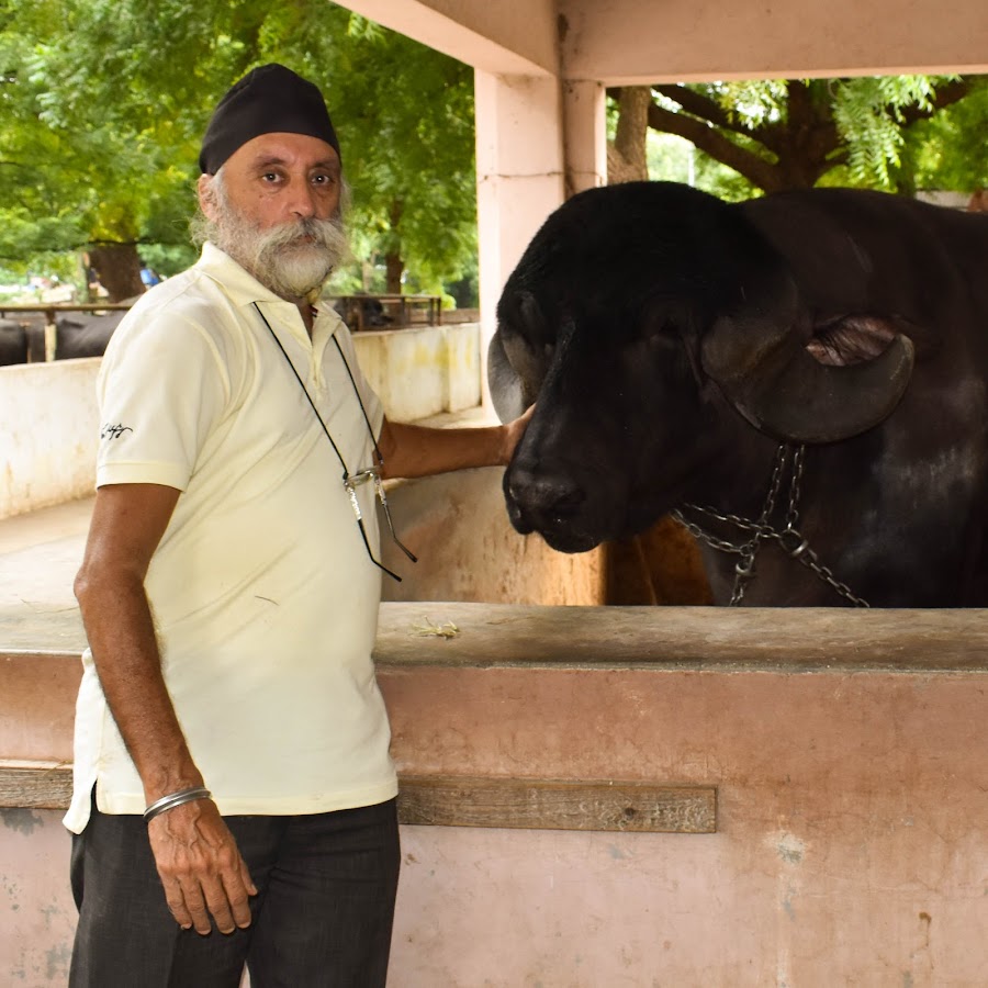 Gurkirpal Singh Dairy Farming Avatar channel YouTube 