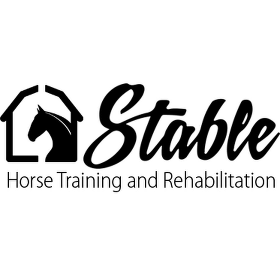 Stable Horse Training Youtube