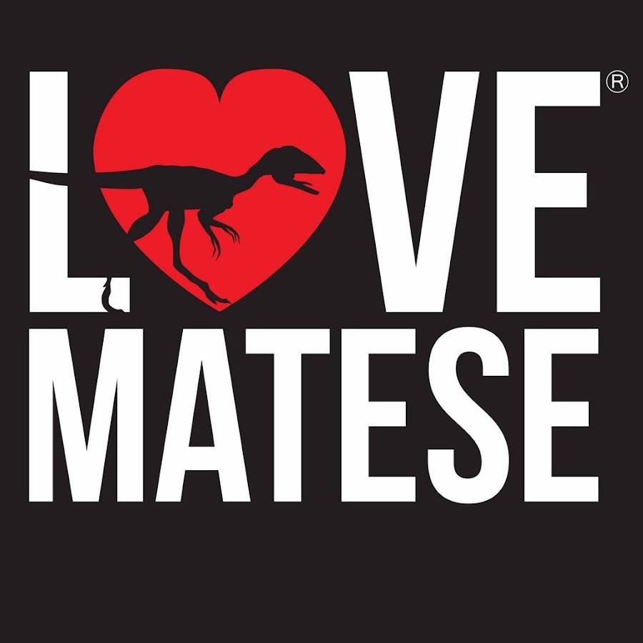 Love Matese رمز قناة اليوتيوب