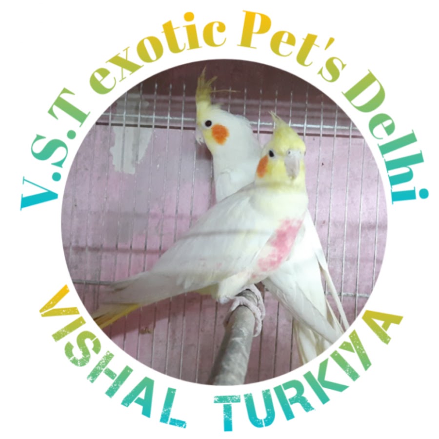 V.S.T exotic Bird's In Delhi YouTube channel avatar