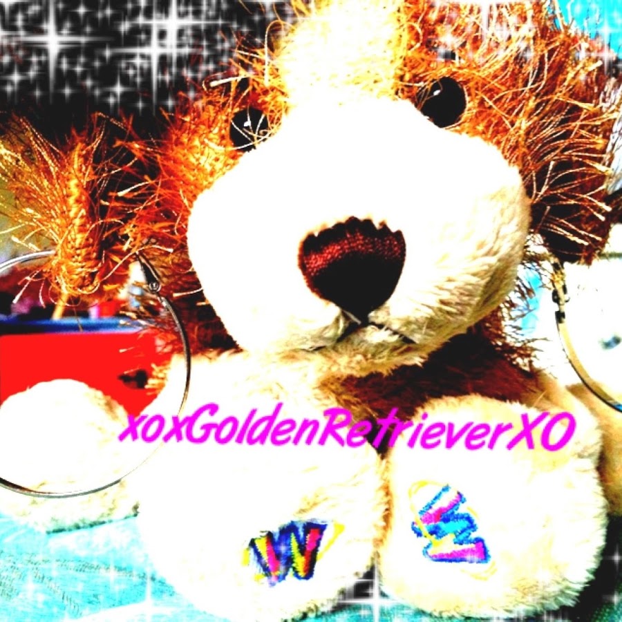XOXGoldenRetrieverXO رمز قناة اليوتيوب