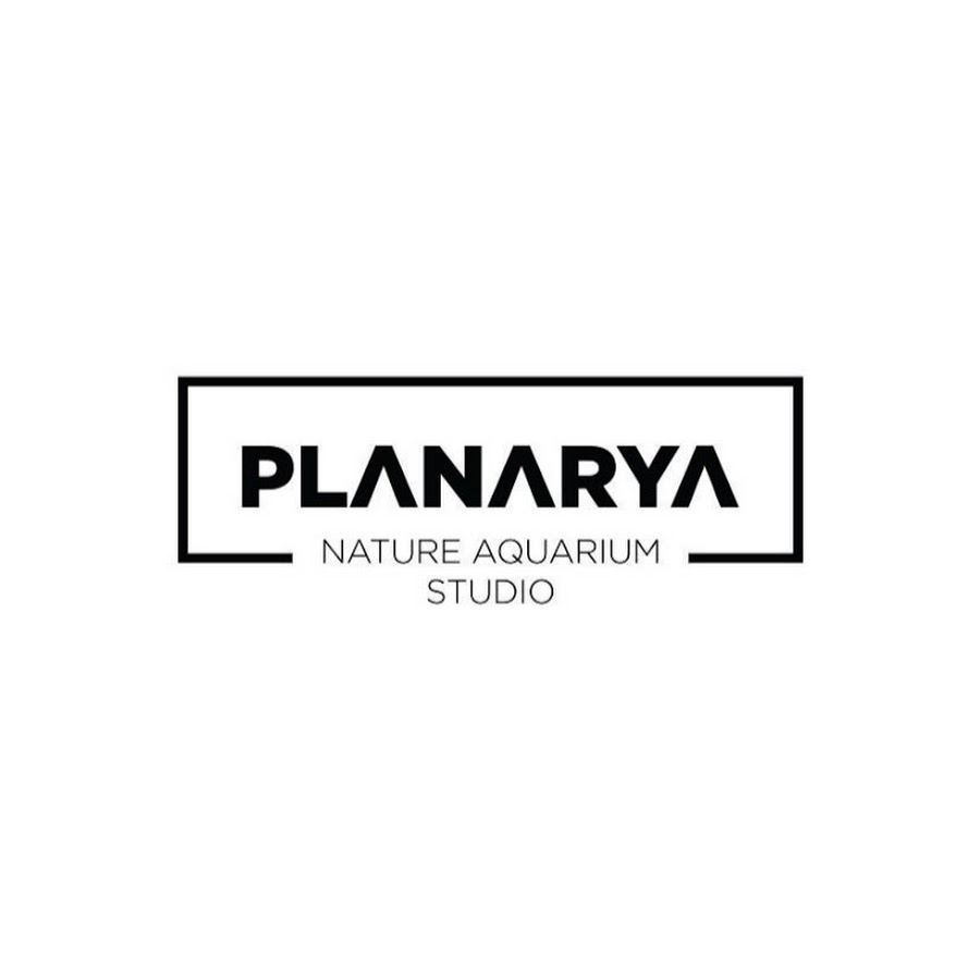 Planarya Studio