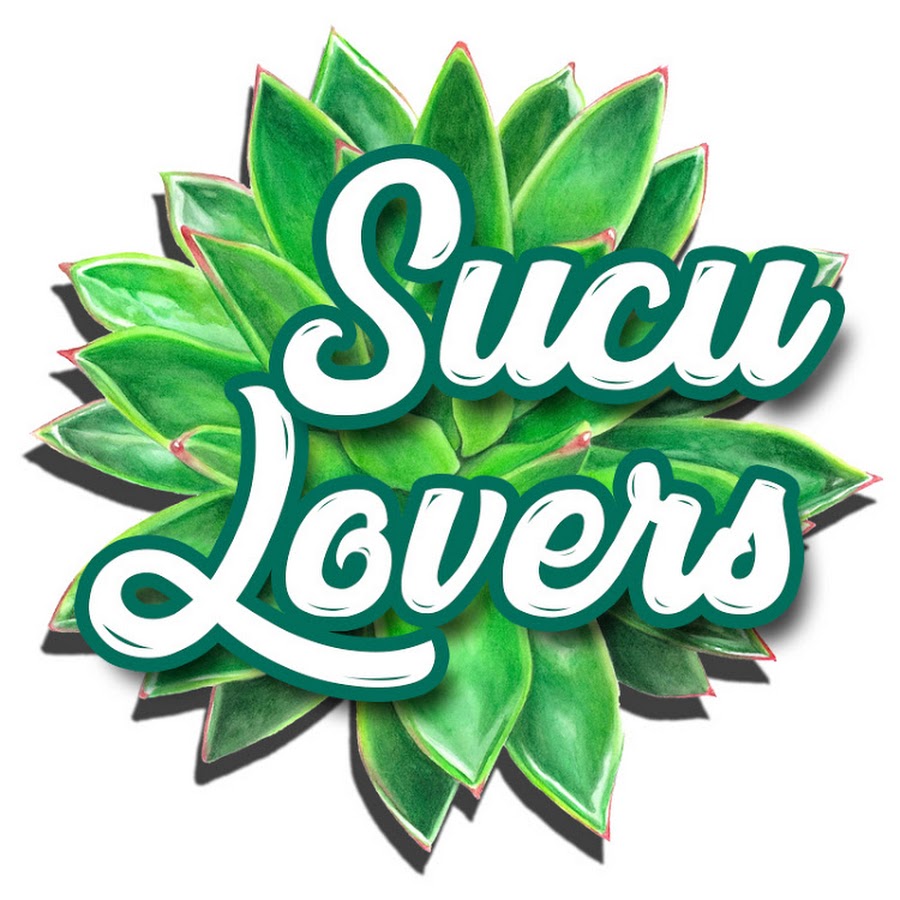 Sucu Lovers Canal YouTube channel avatar