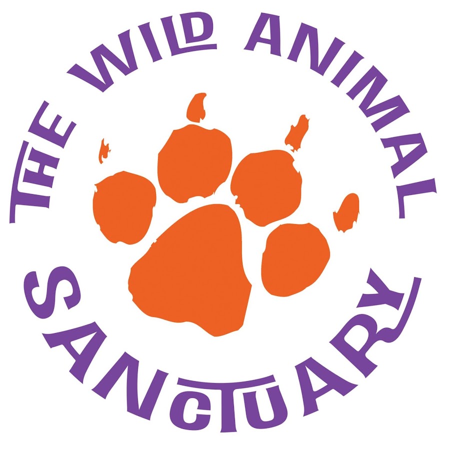 The Wild Animal Sanctuary YouTube channel avatar