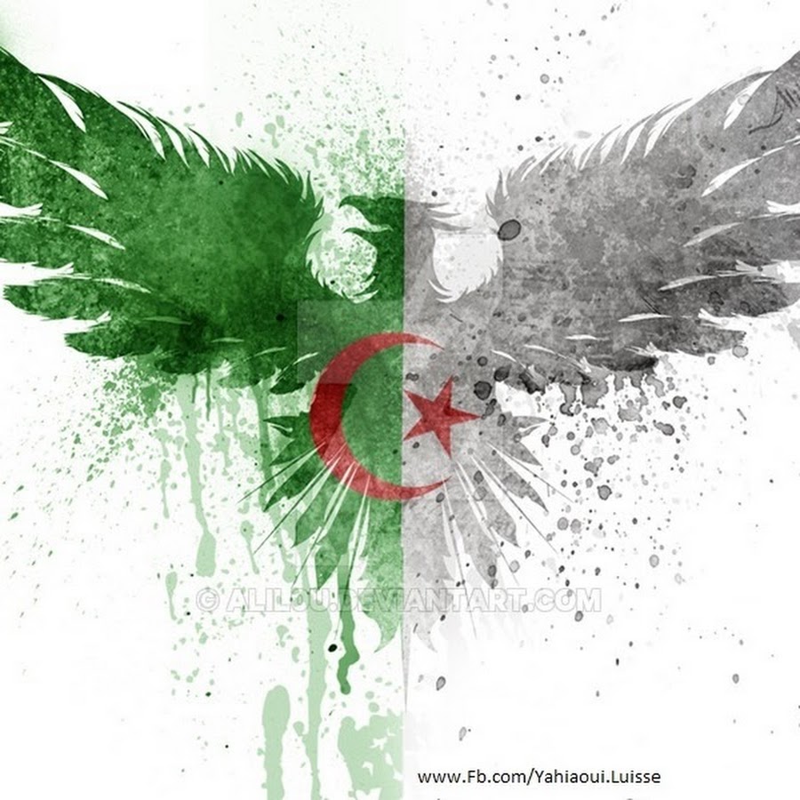 Algerians are awesome