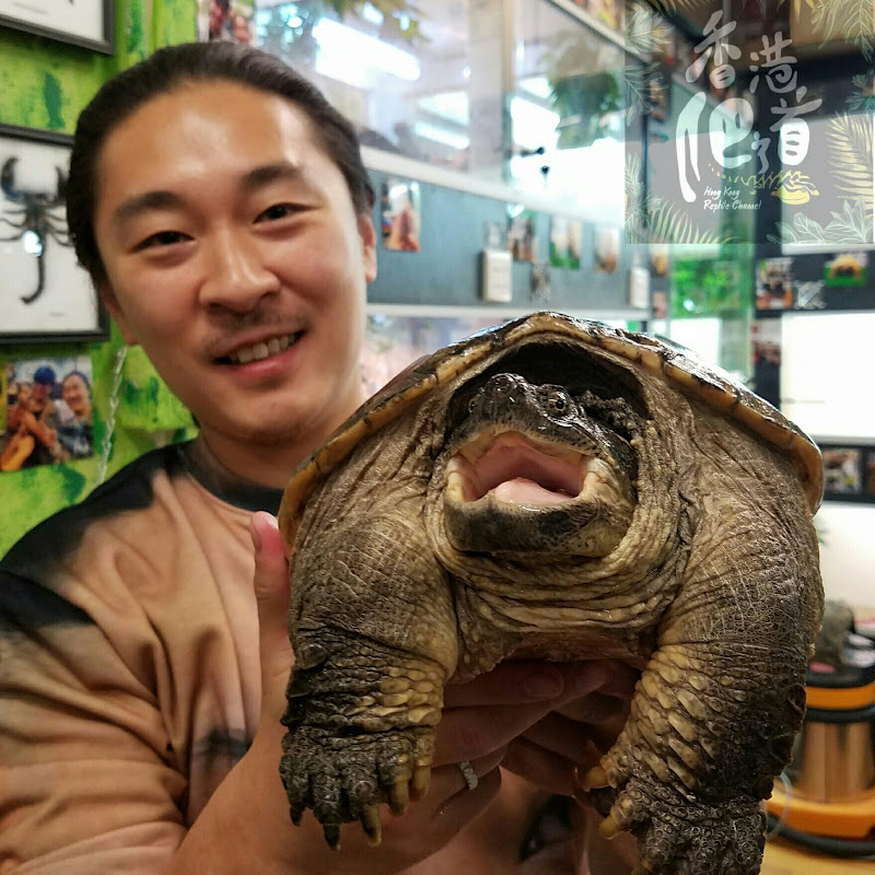 Bowie Chan - 網紅的藏寶箱 