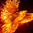 Phoenix J