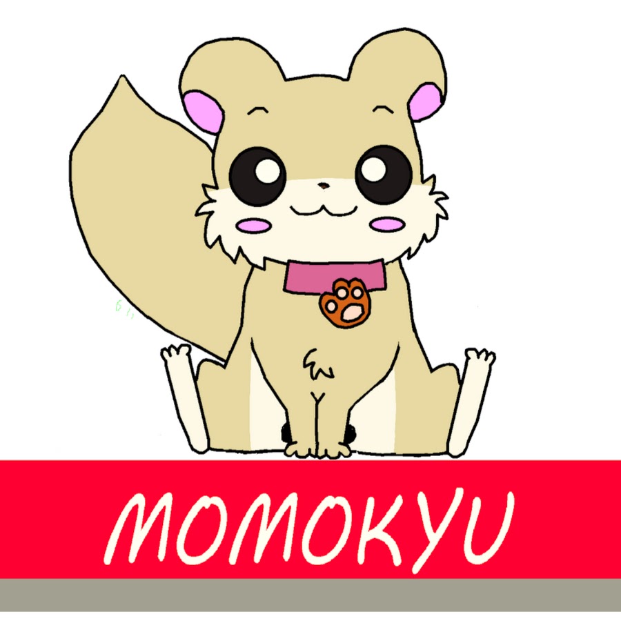 momokyu YouTube channel avatar