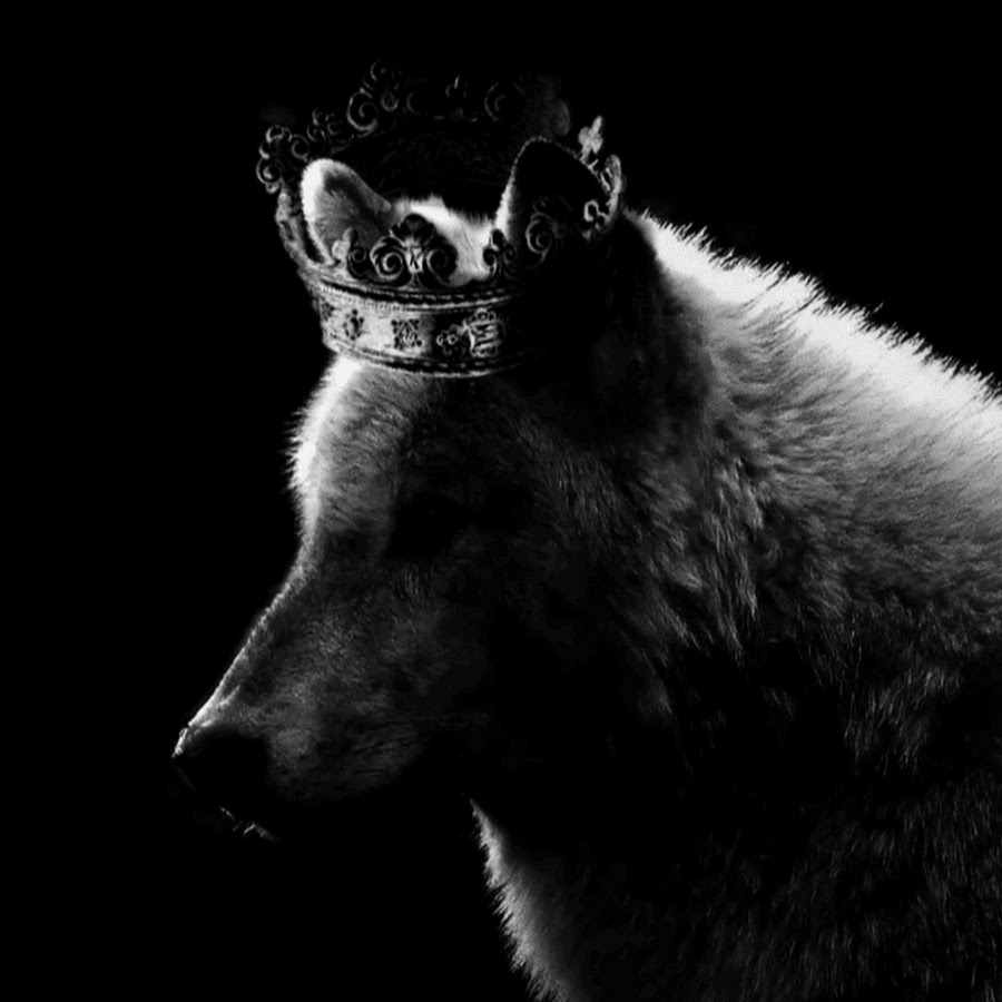 Der Schattenwolf YouTube channel avatar