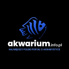 akwarium.info.pl