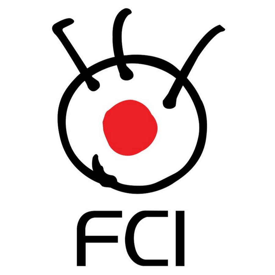 FCI NY YouTube 频道头像
