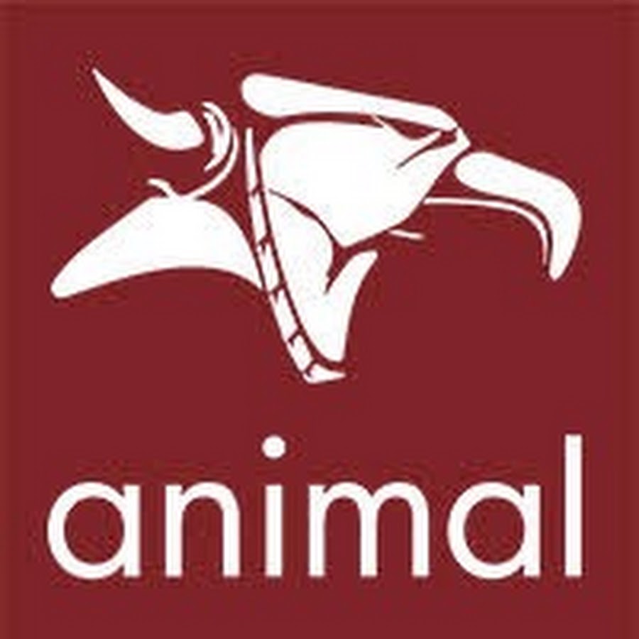 Animal Bikes Avatar channel YouTube 