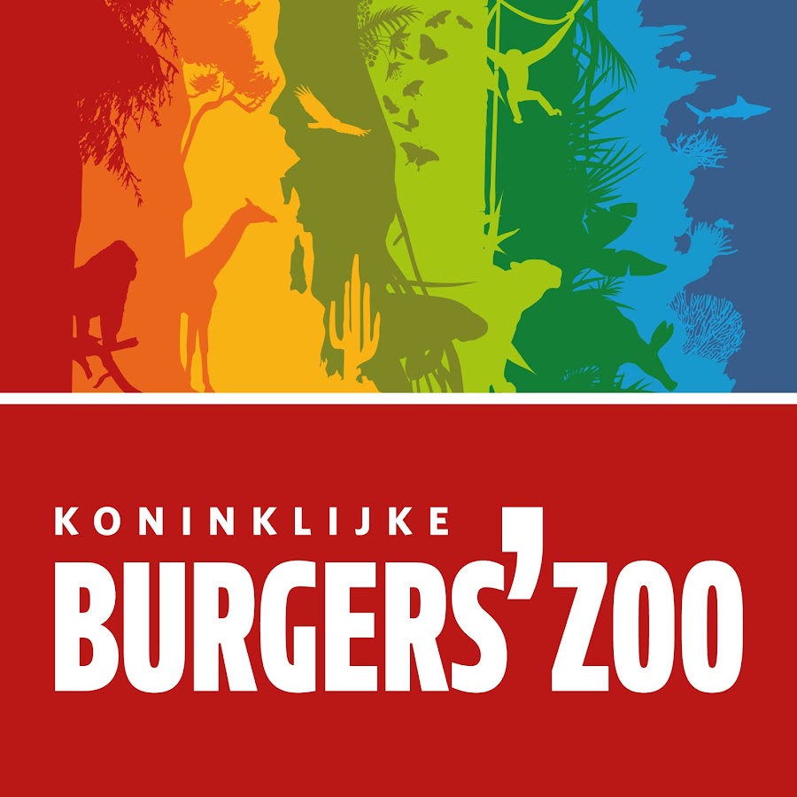 Burgers' Zoo यूट्यूब चैनल अवतार