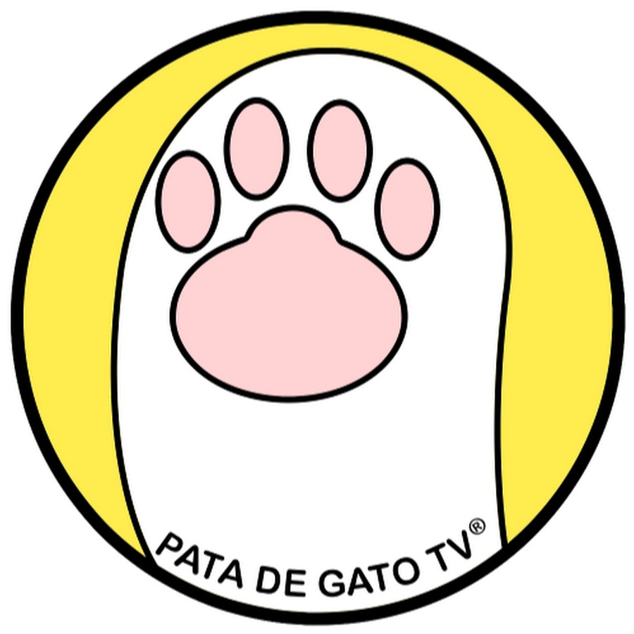 Pata de Gato TV YouTube-Kanal-Avatar