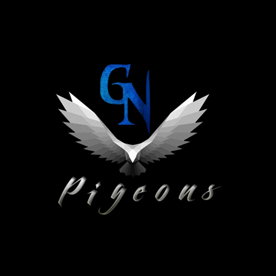 GN Pigeons Avatar canale YouTube 