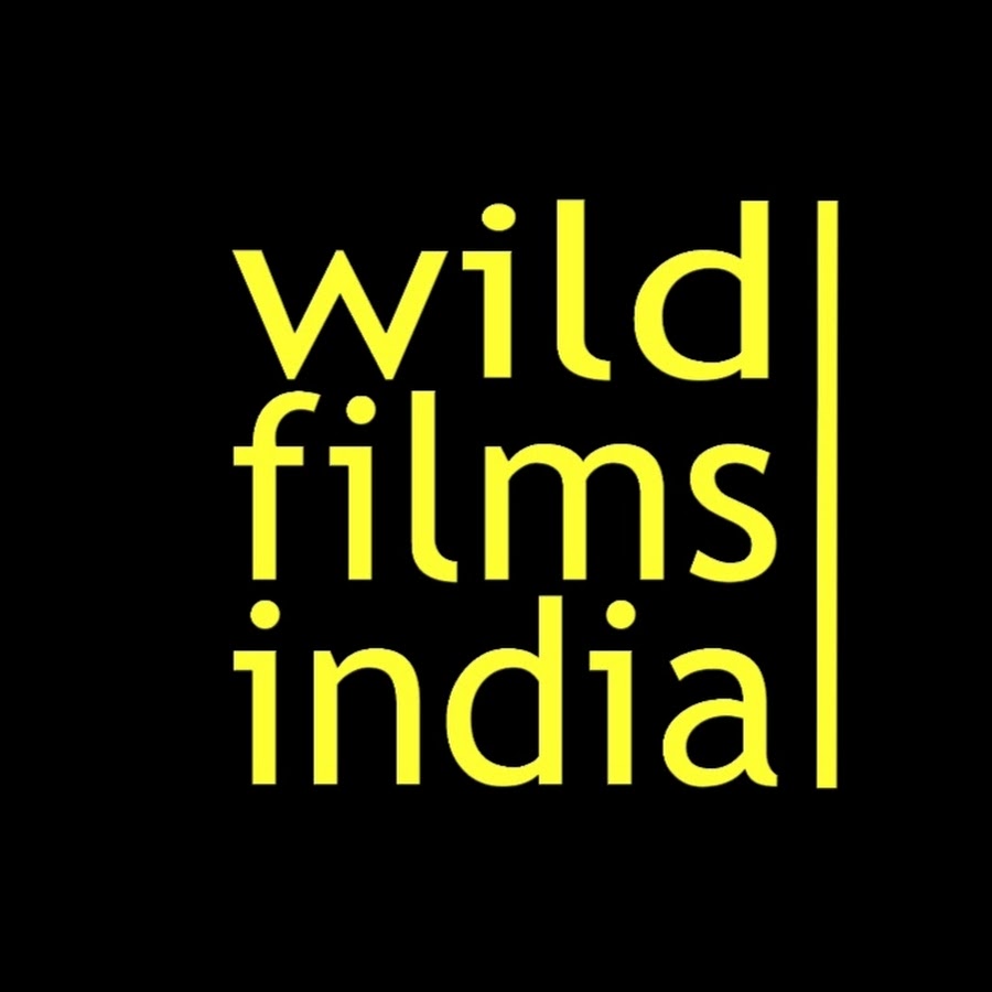 WildFilmsIndia ইউটিউব চ্যানেল অ্যাভাটার