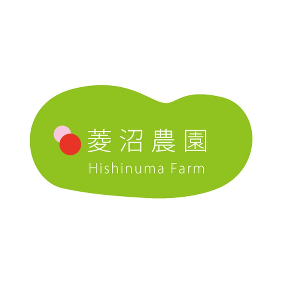 hishinumaTV YouTube channel avatar