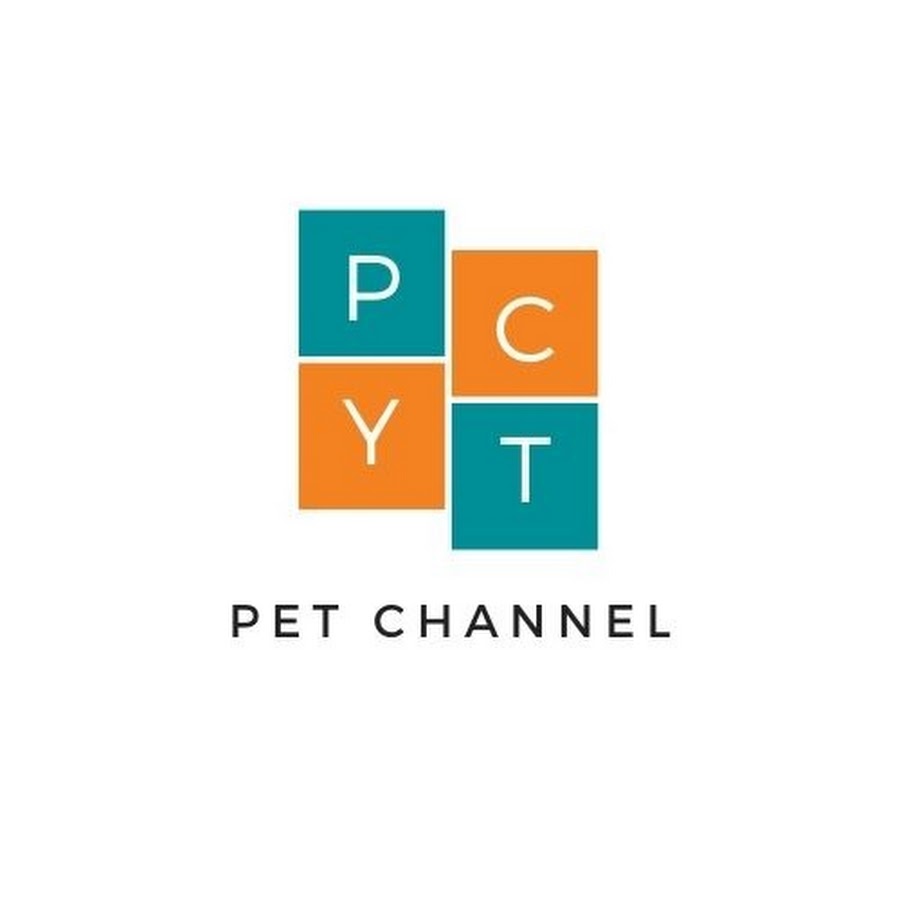 pets krazy dive YouTube 频道头像