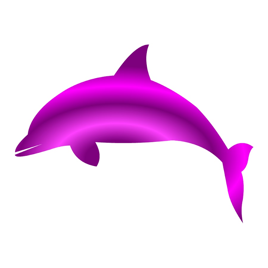 Purple Dolphin Studios