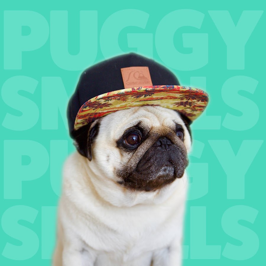 Puggy Smalls YouTube channel avatar